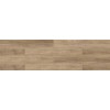 1304 BONEGA 