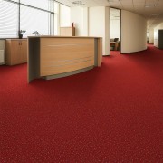 Επαγγελματική μοκέτα με το μέτρο Condor Carpets - Onyx 20 πολυαμιδίου 4m