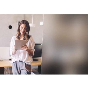 Μεμβράνη τζαμιών αμμοβολής με ελάχιστη διαφάνεια int 256 Reflectiv