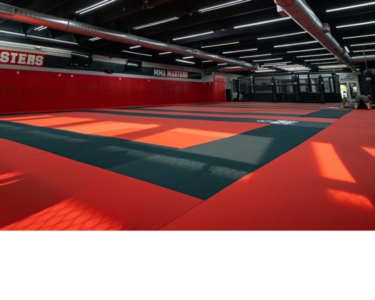 δάπεδα τατάμι προστασίας για αθλητικές εγκαταστάσεις - Α. Κασιμάτης