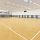 Αθλητικό δάπεδo Taraflex performance maple 6.2mm 1.5x20.5m | 30.75m2