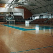 Αθλητικό ξύλινο δάπεδο FlatPad 14 Grabo