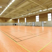 Αθλητικό δάπεδο Omnisports Reference Golden Maple 6,5mm 2x20,5m | 41m2