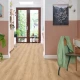 Βινυλικό δάπεδο κολλητές λωρίδες Ivc Origin 30 Silky oak 24219