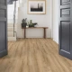 Laminate Woodstock 832 Jura Oak Gold 4V AC4 8mm 510038016 | Tarkett 