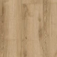 Laminate Woodstock 832 Jura Oak Gold 4V AC4 8mm 510038016 | Tarkett 