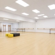Βινυλικό Δάπεδο Χορού Favorite 331500 Trandition ρολό 2x30m | 60m2
